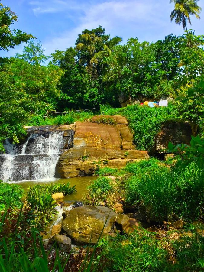 Jungle Tide Bed & Breakfast Kandy Exterior foto